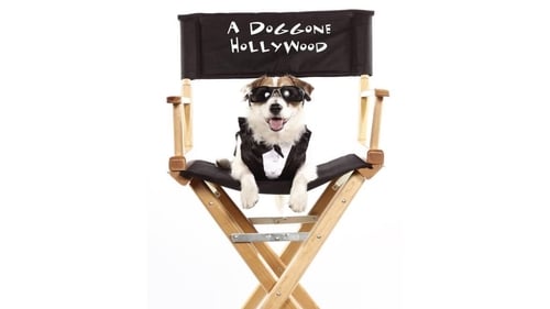 A Doggone Hollywood