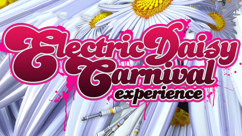 Electric Daisy Carnival Experience