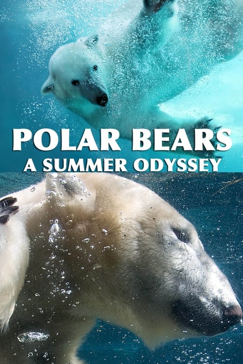 Polar Bears: A Summer Odyssey