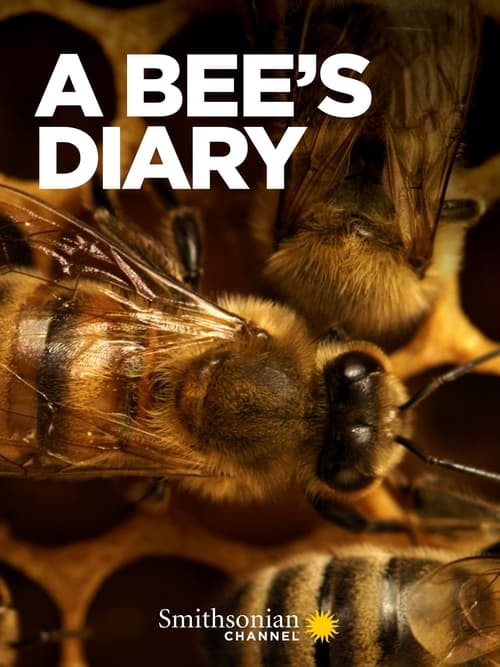 A Bee's Diary