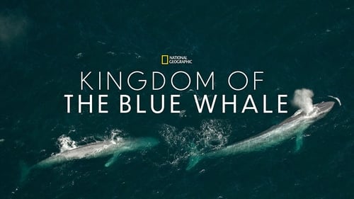 Kingdom of the Blue Whale