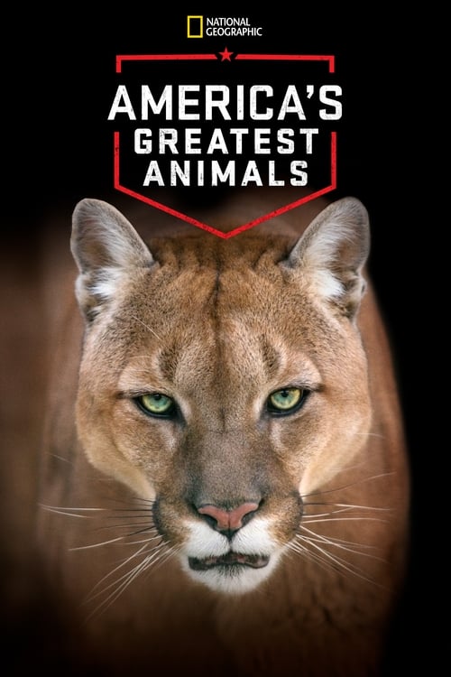 America's Greatest Animals