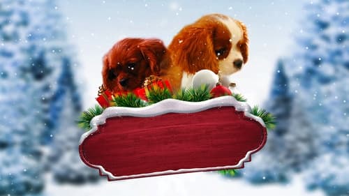 Project: Puppies for Christmas