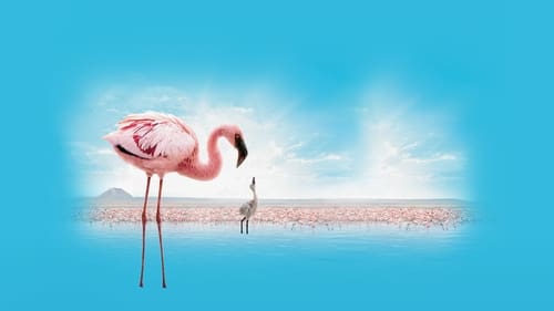 The Crimson Wing: Mystery of the Flamingos