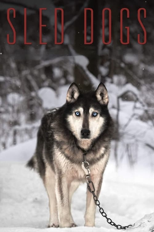 Sled Dogs