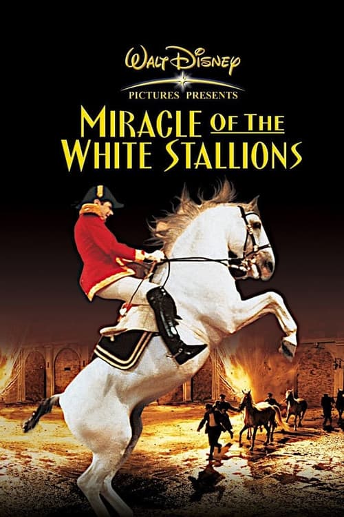 Miracle of the White Stallions