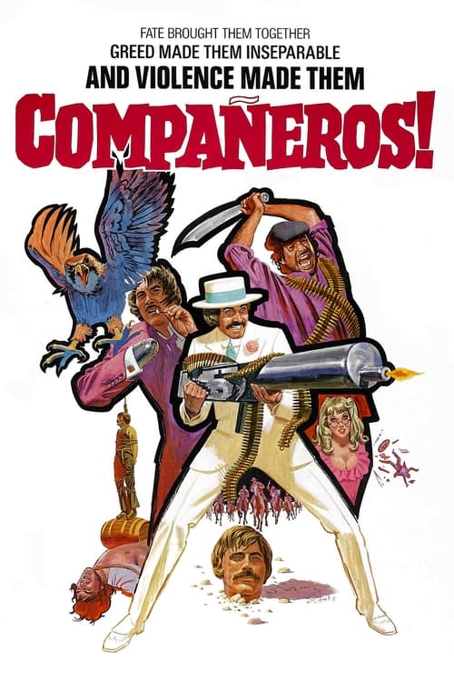 CompaÃ±eros