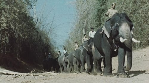 India: Matri Bhumi