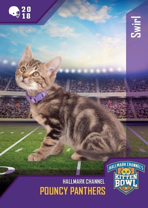 Kitten Bowl VIII Special