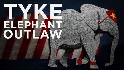 Tyke Elephant Outlaw