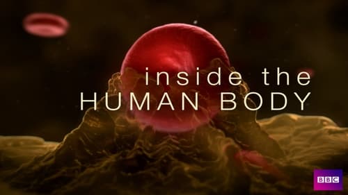 Inside the Human Body