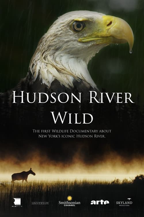 Hudson River Wild