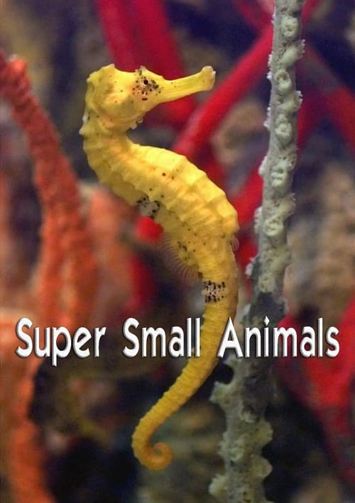 Super Small Animals