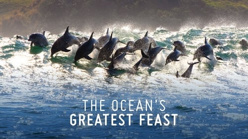 The Oceanâ€™s Greatest Feast