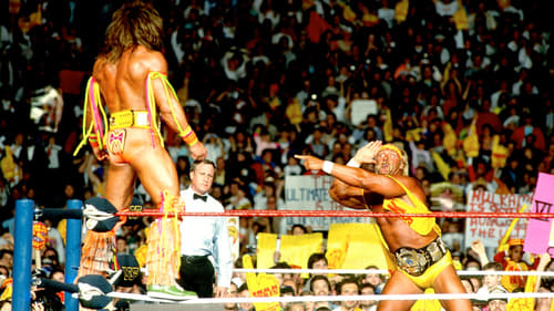 WWE WrestleMania VI