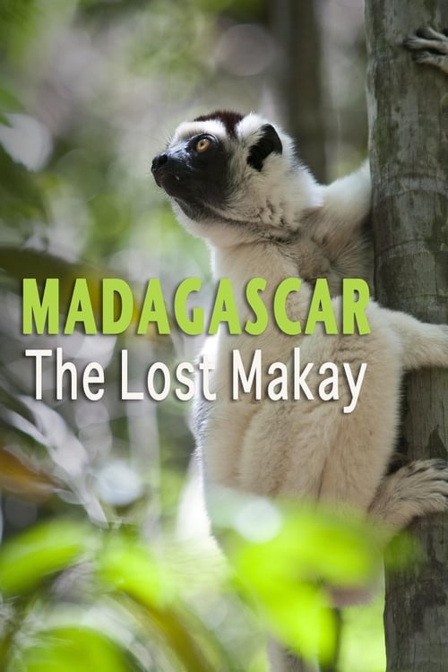 Madagascar: The Lost Makay