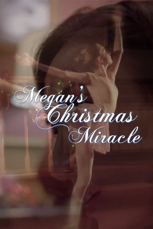 Megan's Christmas Miracle