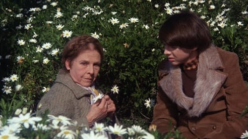 Harold and Maude